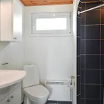 Pet Friendly In * Hvide Sande